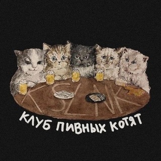 Telegram profile photo for Клуб пивных котят