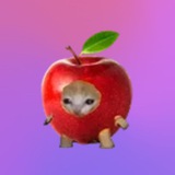 Telegram profile photo for Admin_03