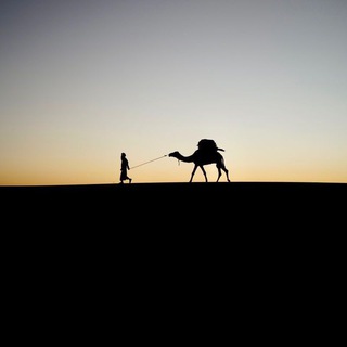 Telegram profile photo for زَهراوِيّاتٌ