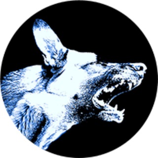 Telegram profile photo for Maddog Official Channel