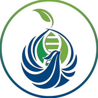 Telegram profile photo for CytoCity