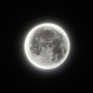 Telegram profile photo for 𝐜'𝐞𝐬𝐭 𝐥𝐚 𝐯𝐢𝐞