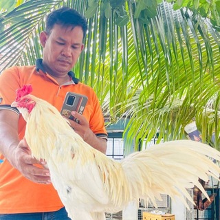 Telegram profile photo for រាជសីផ្លែដែកនិងផ្លែកាំបិតបងឆៃមឿន