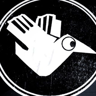 Telegram profile photo for Steven Divish