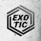 Telegram profile photo for Exotic