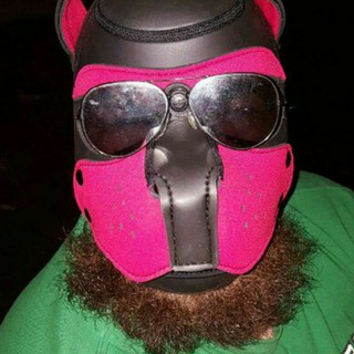 Telegram profile photo for Pupsetting Imagery