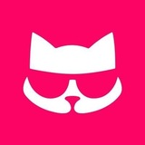 Telegram profile photo for pussycattech
