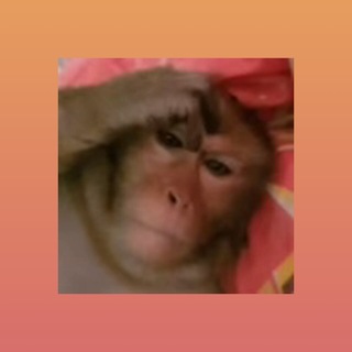 Telegram profile photo for ๐๐๐๐๐