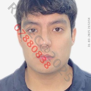 Telegram profile photo for Cuchito army oficial