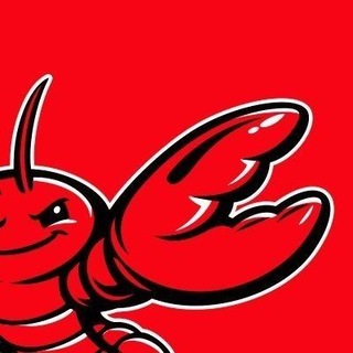 Telegram profile photo for Openclaw AI Blockchain