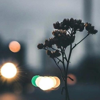 Telegram profile photo for بقايا شعور