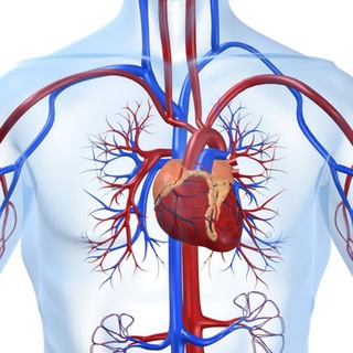 Telegram profile photo for باطنه عامه 32 طب بشري