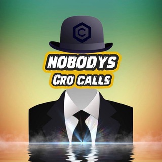 Telegram profile photo for Nobodys CRO Calls