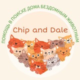 Telegram profile photo for Chip_and_Dale_help