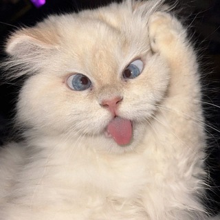 Telegram profile photo for продвигайся с нами 🔝
