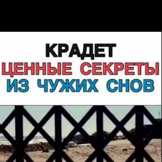 Telegram profile photo for ДНР: почти официально