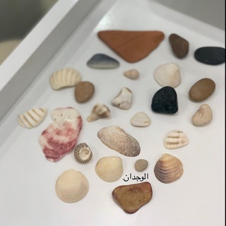 Telegram profile photo for الوِجدَان.