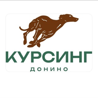 Telegram profile photo for Чат "Курсинг в Донино"