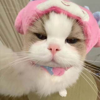 Telegram profile photo for крейзи конфа жоских типов