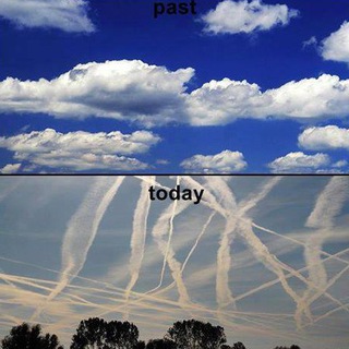 Telegram profile photo for Chemtrails (Geoengineering)