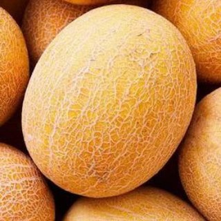 Telegram profile photo for Читинские дыньки