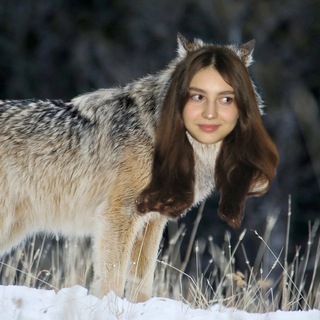 Telegram profile photo for любимая стая🥀🐺