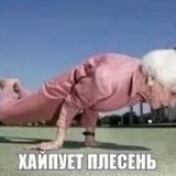 Telegram profile photo for ПОЛУ-РЕСТ: Ботиночная #Плесень