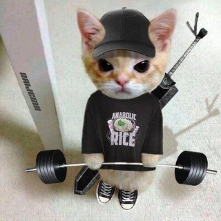 Telegram profile photo for Агрессивные котяры