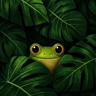 Telegram profile photo for ⏳LAVKA FROGGY