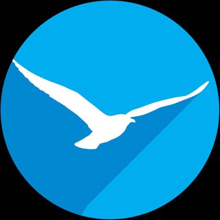 Telegram profile photo for SearchGull+