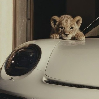 Telegram profile photo for لوعَة.