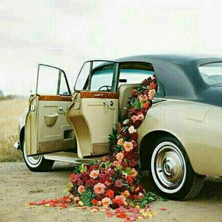 Telegram profile photo for شاه بیت های ماندگار