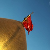 Telegram profile photo for کربلا | حرم مطهر امام حسین علیه السلام