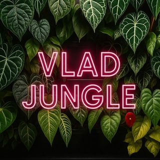 Telegram profile photo for Jungle Vlad
