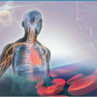 Telegram profile photo for Material Fisiologia