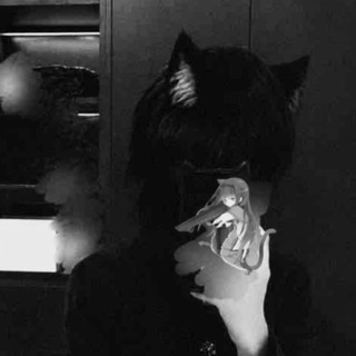 Telegram profile photo for やみねこ