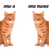 Telegram profile photo for Это я? И это тоже я