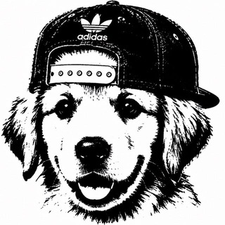 Telegram profile photo for قفغحياى