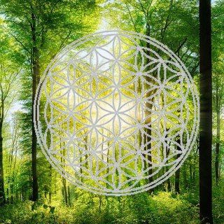 Telegram profile photo for DIVINE SPIRIT - Medialität & Spiritualität in Österreich - Auralesen, Channeling & Jenseitskontakte