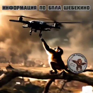 Telegram profile photo for Информация по БПЛА Шебекино