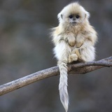 Telegram profile photo for дивный животный мир
