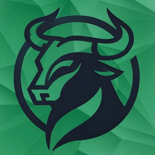 Telegram profile photo for 🇹🇷 FC «Vortex»