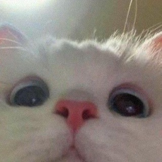 Telegram profile photo for Hehehehe