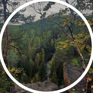 Telegram profile photo for Таёжный 124 — Подслушка Таёжного