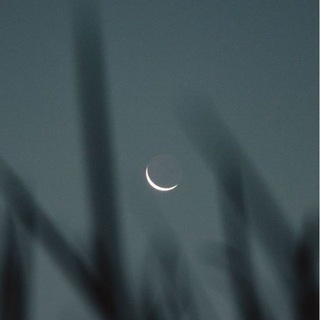 Telegram profile photo for Uplifting Notes