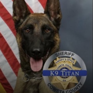 Telegram profile photo for $TITAN