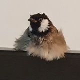 Telegram profile photo for شركة ميناتو للهبد