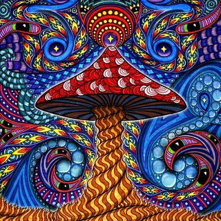 Telegram group profile photo for МУХОМОРЬЕ 🍄