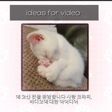 Telegram profile photo for ideas fir video-LC 🍇&🍒