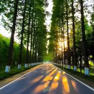 Telegram profile photo for کانال طبیعت ودیدنها